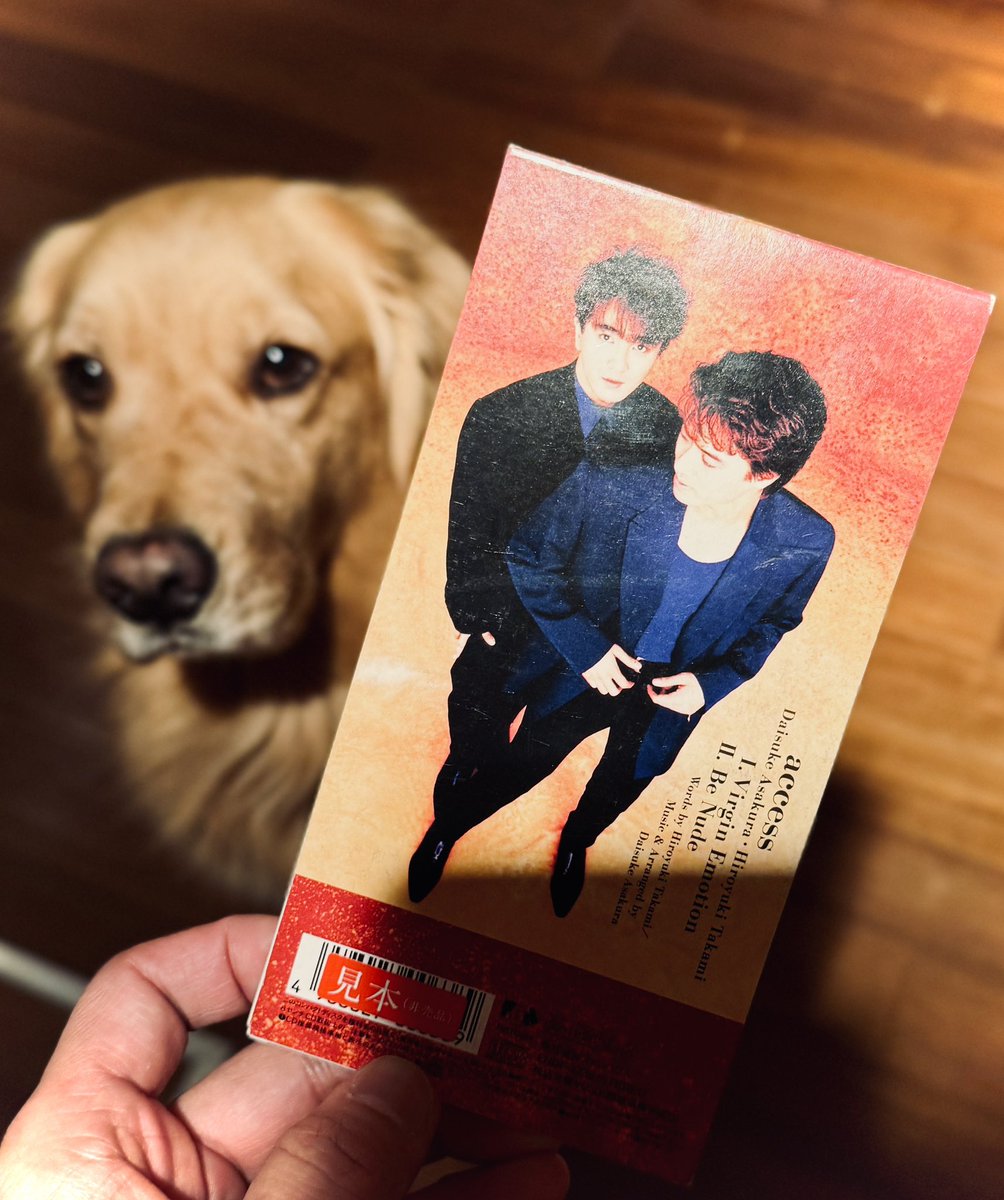 ⋆❤︎もちこ❤︎AXS∞❤︎⋆* (@mochiko_AXS) / Posts / X