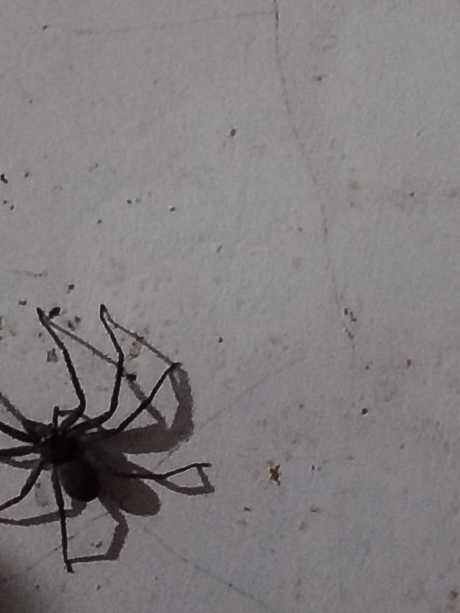 thirdygoodboy's tweet image. Daw ma tubiganay pa kami di ya ka damang hu. Daw indi gid ko ni kapanipilyo before mag lakat haw. Hahahaha! 😂