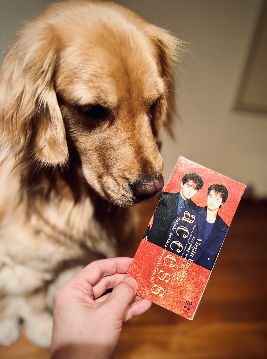 いつもありがとう😭みんな大好き❤ #access  ♾✨