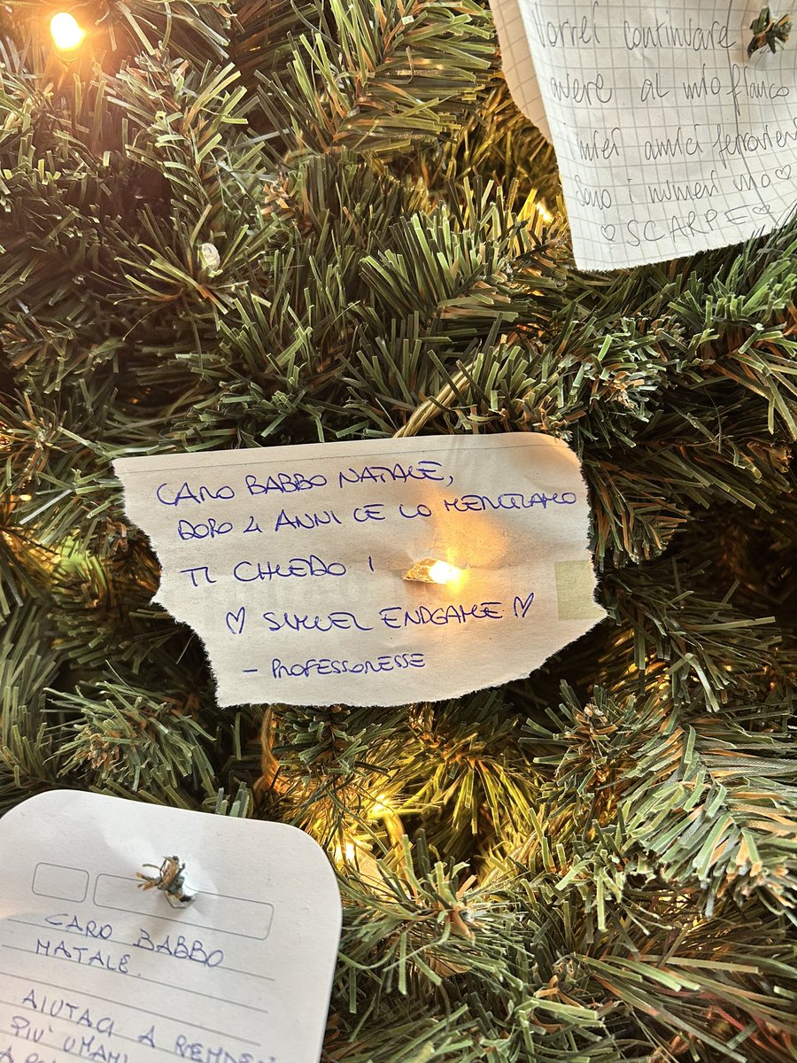 surprenantcoeur's tweet photo. l’albero di torino SA ! e farà il suo lavoro ! https://t.co/91mFnv1wUk
