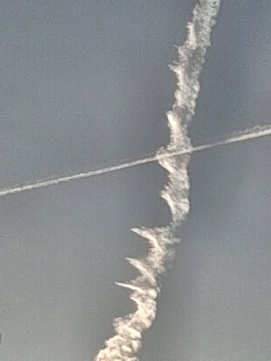 wigandolly's tweet image. Relentless all morning here 🤬