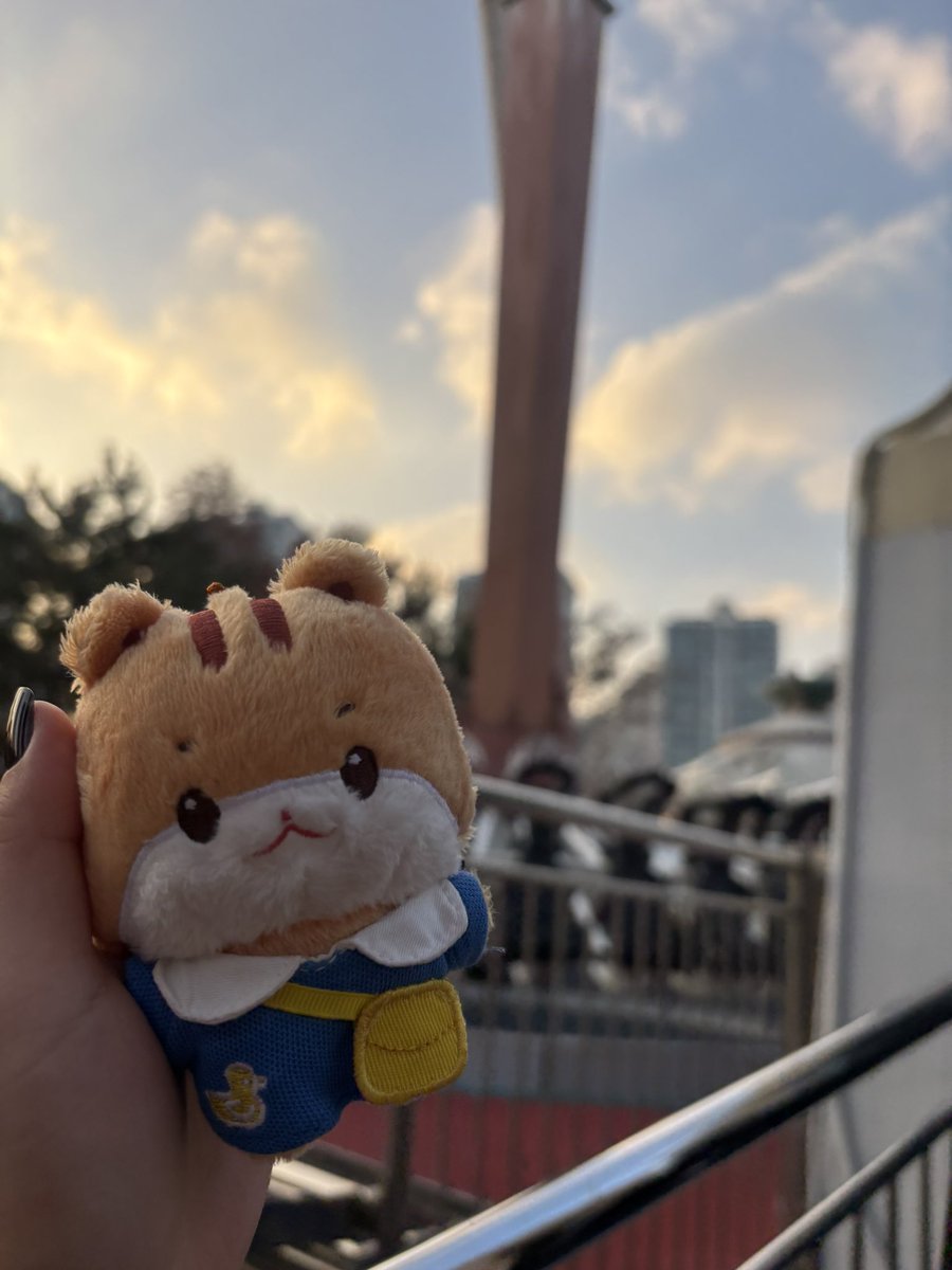 ahoy_tiny's tweet image. 밥은 함박스테이크 덮밥을 먹었다 첨 먹는거였는데 생각보다 맛있고 배불렀다

그러고나서 바로 자이로스윙을 타러갔다 줄이 엄청 길어서 2시간은 기다린것 같다 기다리면서 수학강사ㅈㅅㅈ님도 봤다
그러고 실내로 들어와서 선원의 역할을 톡톡히 하기위해 바이킹도 탔다