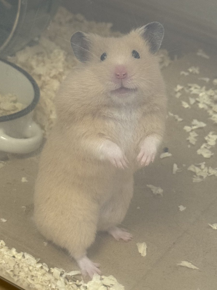 Cv3Fp's tweet image. 