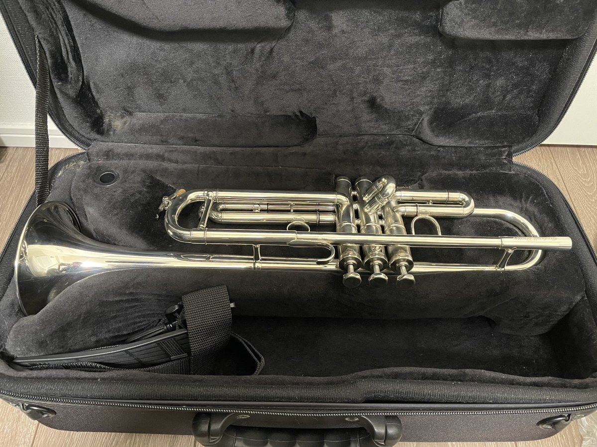 rappa_rappappa's tweet image. My new gear！
リコーダさんの色違いのシャーゲルアポロ♩