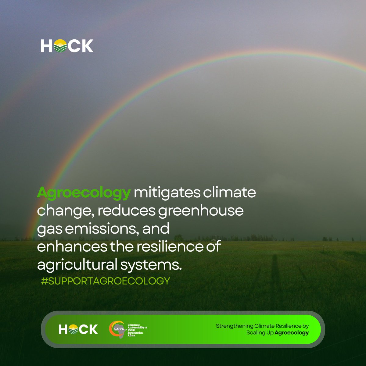 CAPPAfrica's tweet photo. To achieve climate solutions, we must start with the soil. At a time when global emissions are surging, it’s critical to adopt solutions that reduce emissions and strengthen agricultural resilience, and agroecology does exactly that. #SupportAgroecology #FoodSovereignty #BanGMOs https://t.co/vAEaSLhFYz