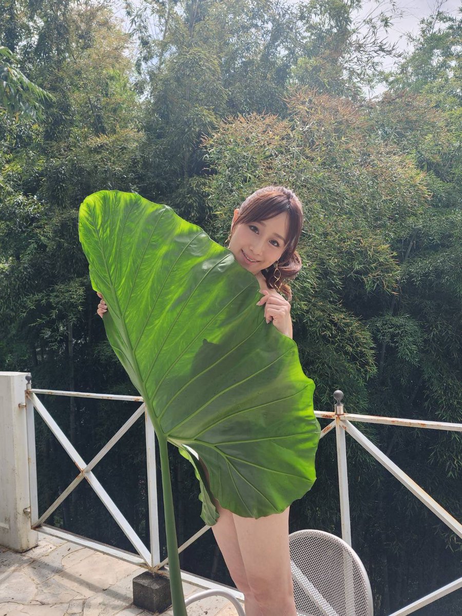 川上優 (森野雫)