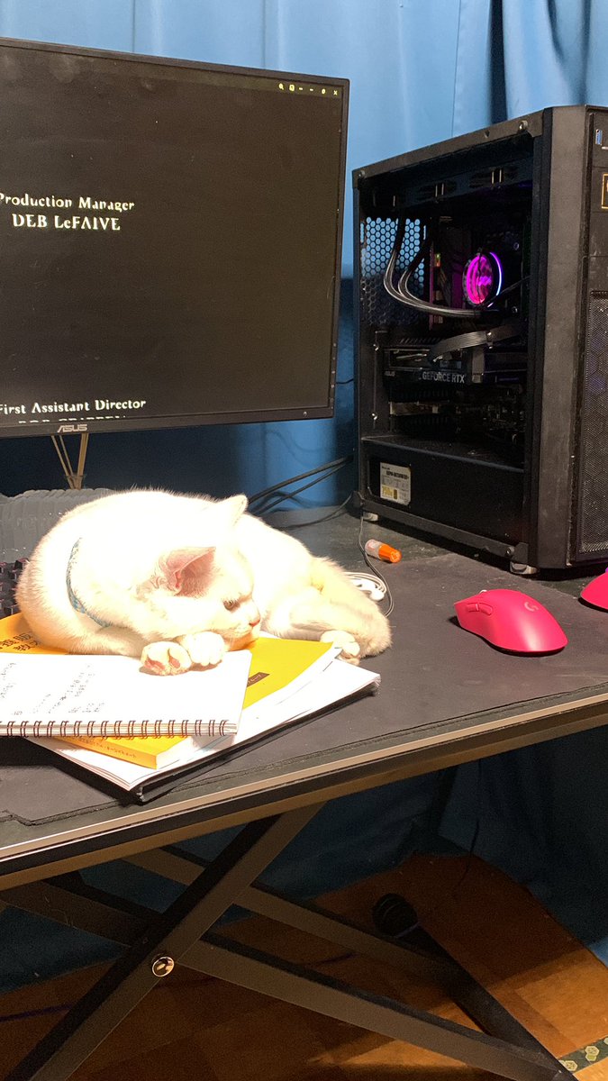 なんなのこいつ　毎回ここで寝るんだけど　わざとしてるよね？　まぁいいけどw