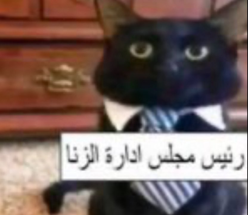 ااا tweet media