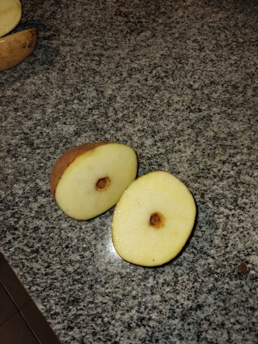 GeoffreyAbeka's tweet photo. @Kenya_Agron @Kenya_Agron 
What could be the cause of this centre rot in potato tubers, possibly in Sherekea variety https://t.co/PMwBXBLSde