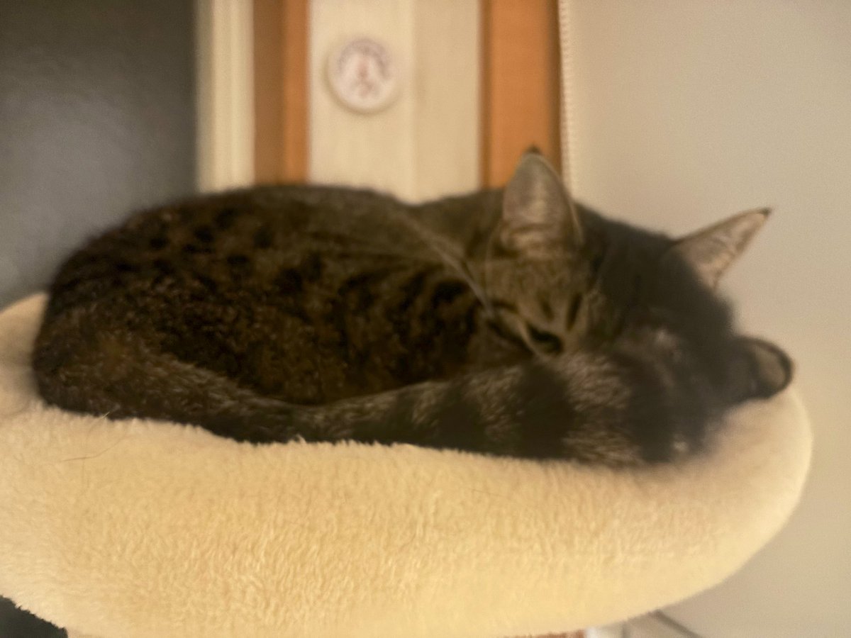 大福の大ちゃん (@Dai00634) / Posts / X