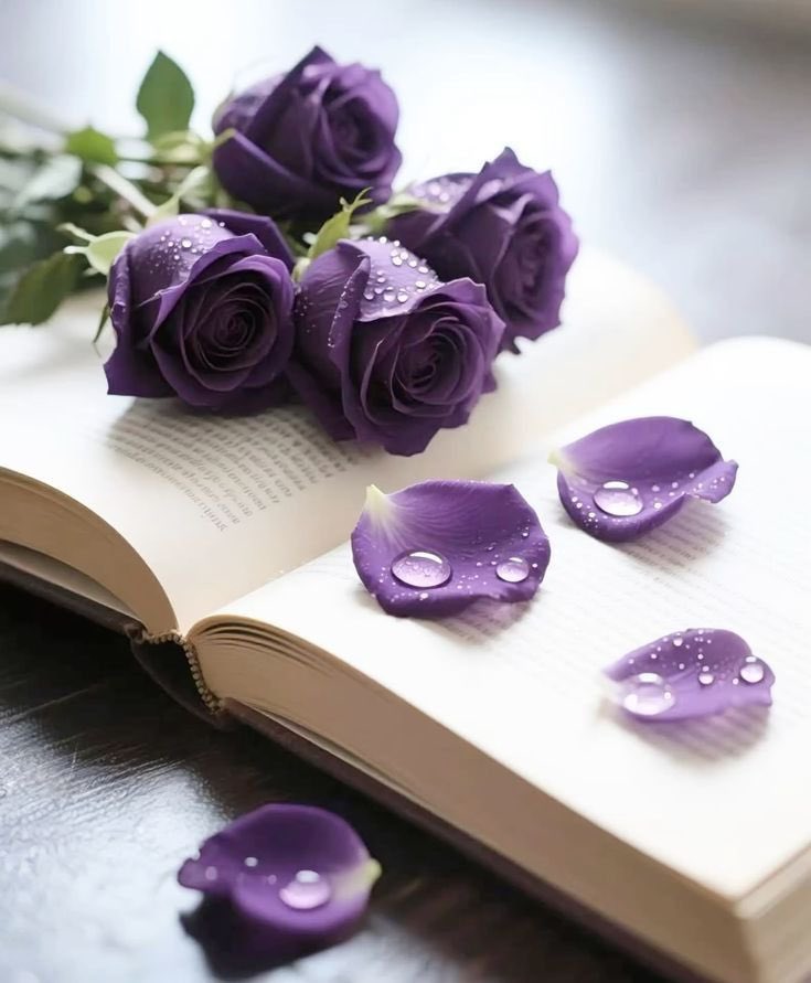 مسكـ ᥫ᭡ tweet media