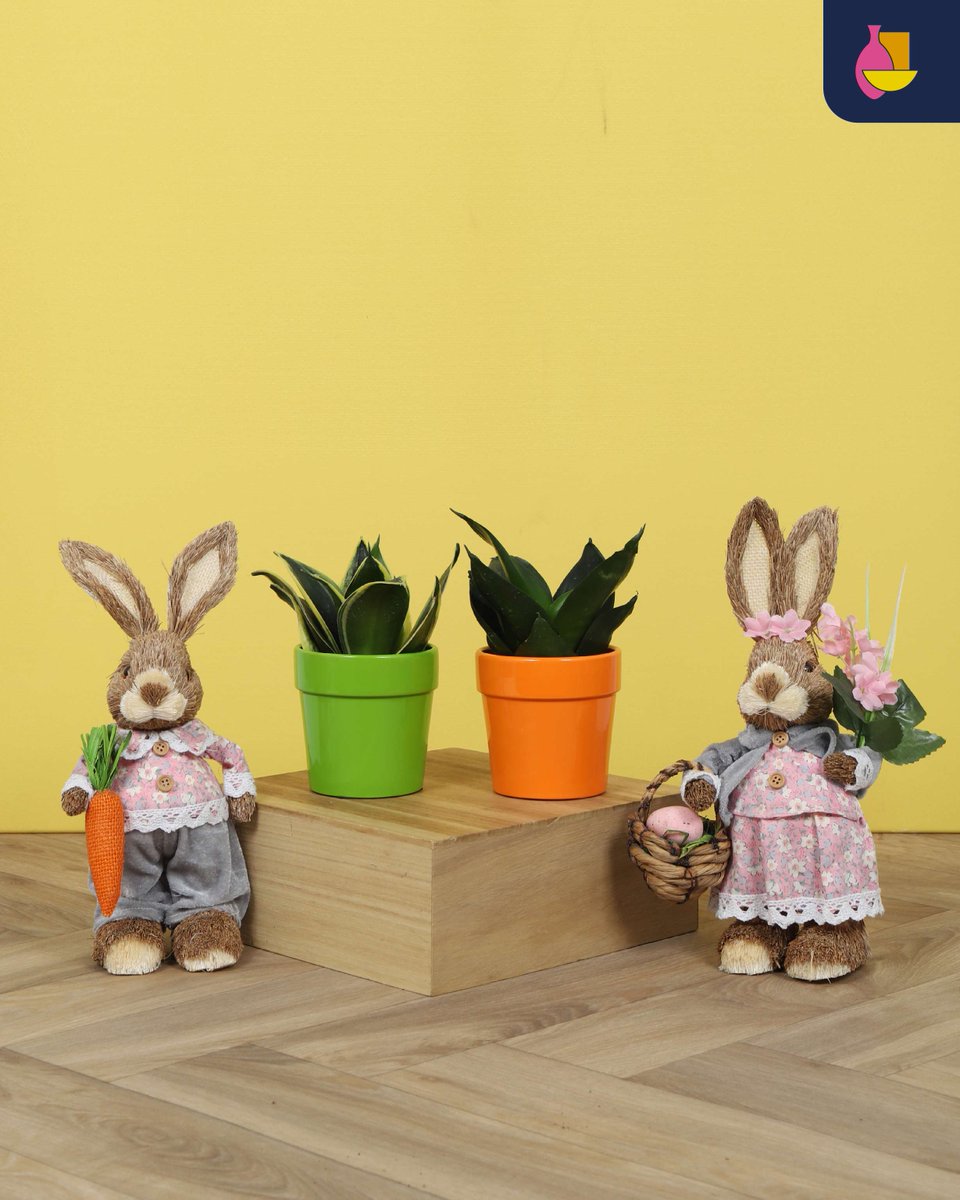Window Sale! 🌸 Cheerful Claire pots in orange &amp; green, perfect for 9 cm grow pots. Styled with decorative bunnies (not in stock) for a spring pop of color. Grab yours now during our Window Sale! 💥
#WindowSale #ClairePots #SpringDecor #ColorPop #EasterVibes
