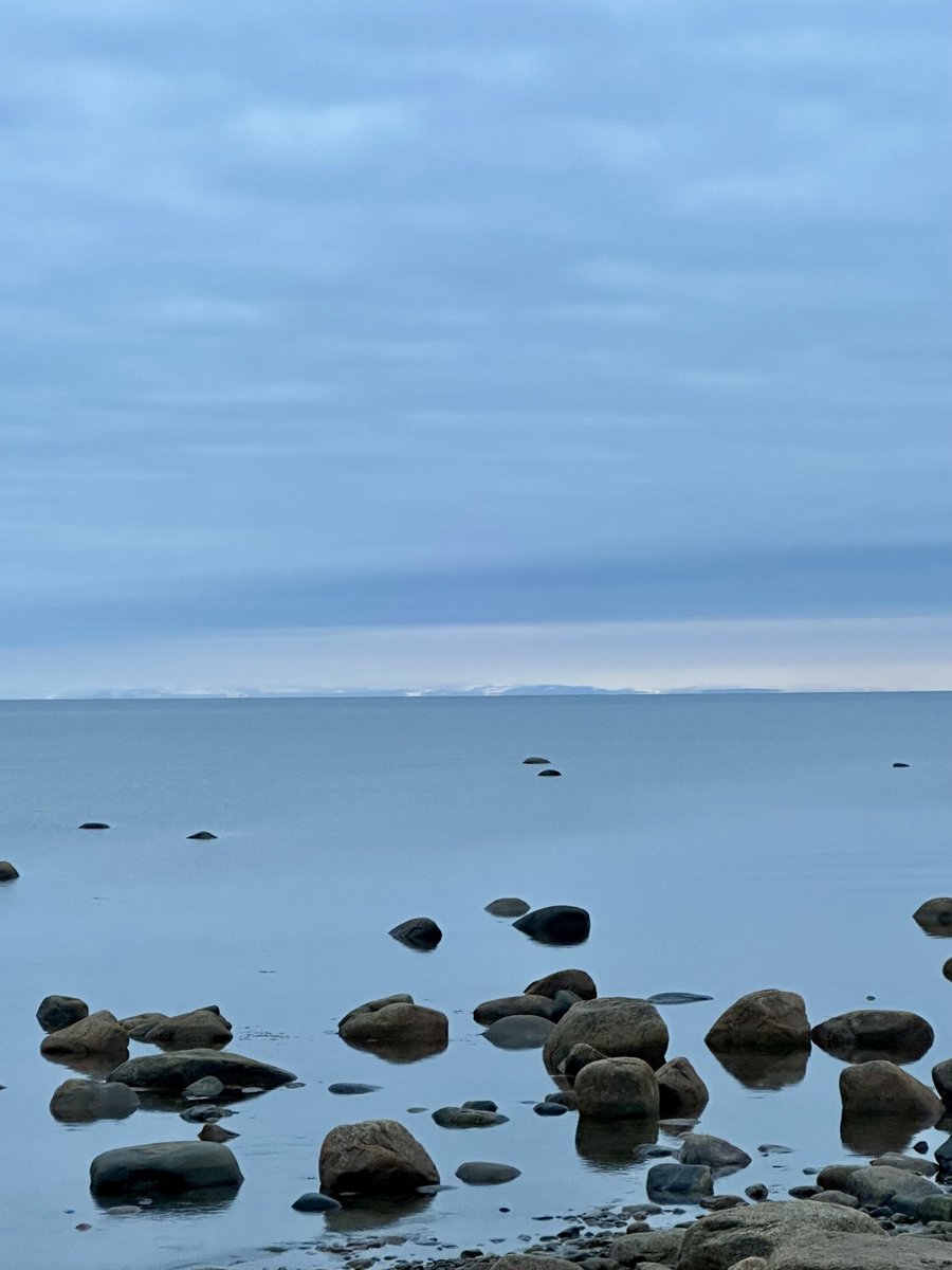 btleparadis's tweet image. Bonne journée 🩵🩵🩵