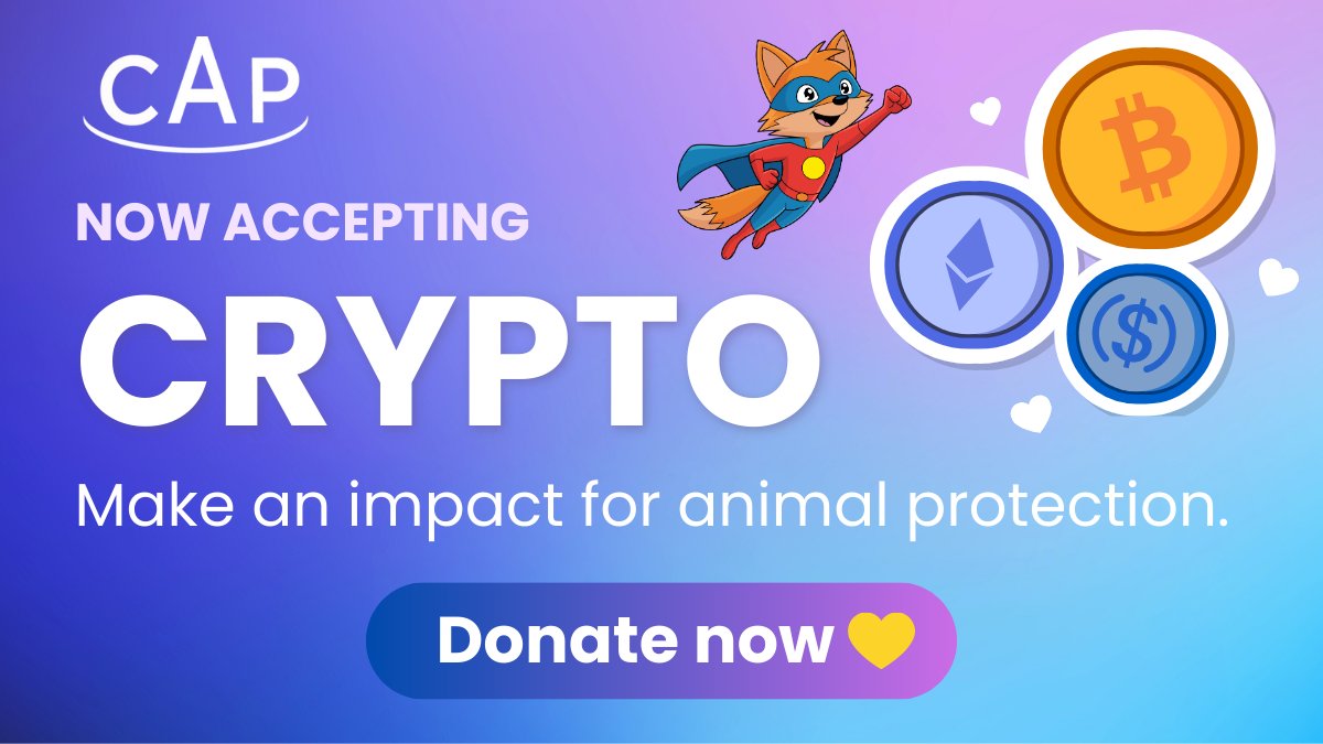 CAPpolitique's tweet image. 🚀❤️ CAP now accepts crypto donations!
🦊 Your MetaMask-ready crypto can power our mission to give animals a voice and legal protection. Give crypto to protect animals👉  bit.ly/donatecryptoCAP 
#DonateCrypto #C4G #CryptoCares #CryptoForAnimals #crypto #btc #eth @TheGivingBlock