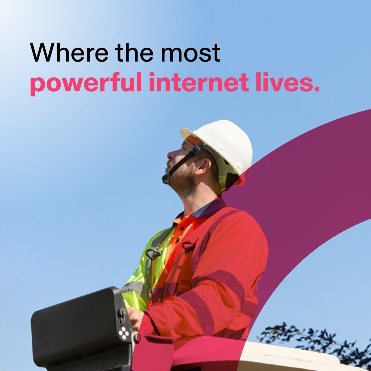 Netomnia tweet media