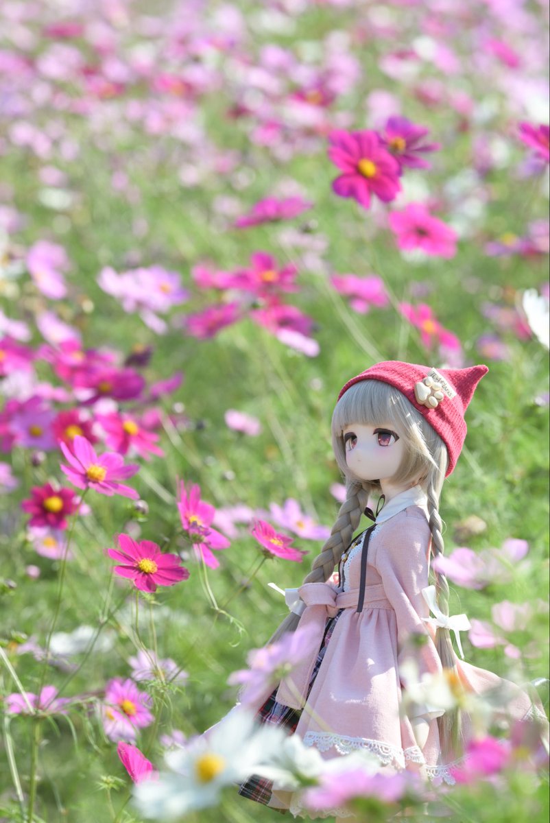 tu_nekotii's tweet image. #ぽもろこ