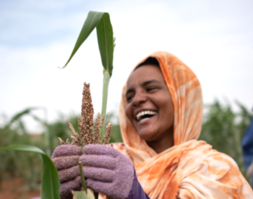 ONUMauritanie's tweet photo. 🇲🇷 La #Mauritanie adopte le décret créant le cadre national des systèmes alimentaires 🌾
Prochaines étapes : gouvernance, plan d’action, suivi & financement.🇺🇳 Les #NationsUnies restent engagées pour lutter contre la pauvreté et la malnutrition. 🌱✨
#FoodSystems #ZeroFaim https://t.co/MgkseqoOnb