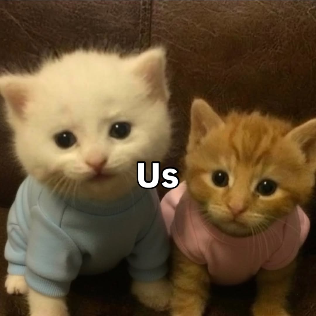 braga1luis1's tweet image. 1️⃣Qual a diferença entre cenários prospectivos e previsão? Previsão é misticismo; é um destino imutável. Cenários se baseiam no desdobramento lógico de situações no futuro levando em conta determinado horizonte temporal, reconhecendo o homem como principal agente de mudanças🧵