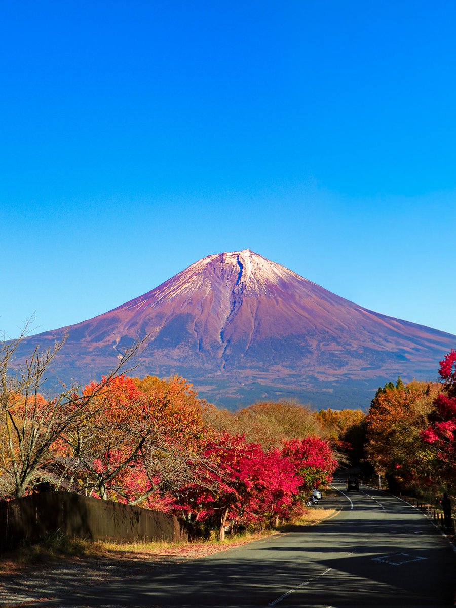 インプ@多忙のため低浮上中 tweet media