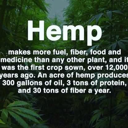 Norstackk's tweet image. :&amp;gt;}_~#WakeNBake #StonerFam #StonerCircle #StonerNation #IAmCannabis #WeAreCannabis #FuckCancer #StayWoke &amp;amp; ALL #STONERS ~HappyHumpDazed~