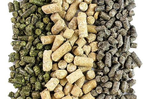 CPLConsult's tweet image. Today&apos;s case study... CPL Business #Consultants analysed the market for probiotics in animal feed, scientific evidence, products, manufacturers and routes to market cplconsult.com/project/market… #cplconsult #ingredients #strategy