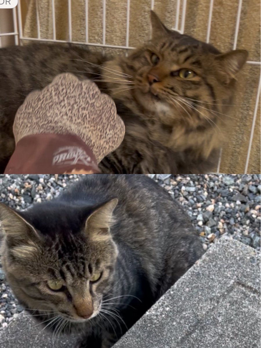 あちゃこ (@achaco_smile) / Posts / X