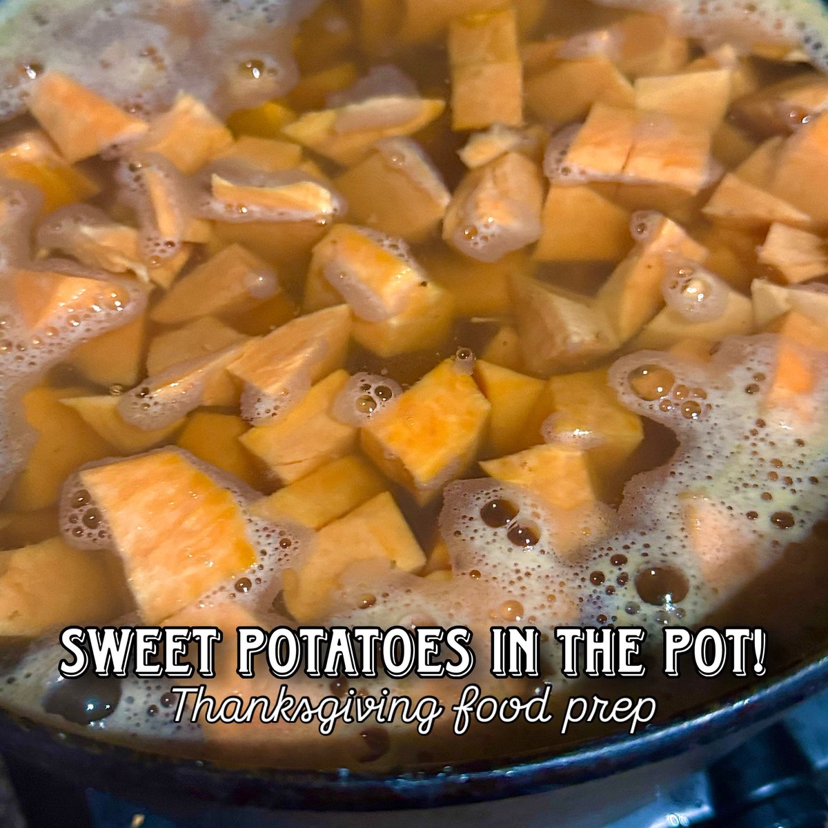 coni_perry's tweet image. Thanksgiving preparations - sweet potatoes for the baked dish are all peeled, washed, and in the pot! Cassie is making homemade sourdough bread bowls for the appetizer dips, and is proofing the dough for homemade dinner rolls.
#thanksgiving #foodprep #homemade #oakhillchronicles