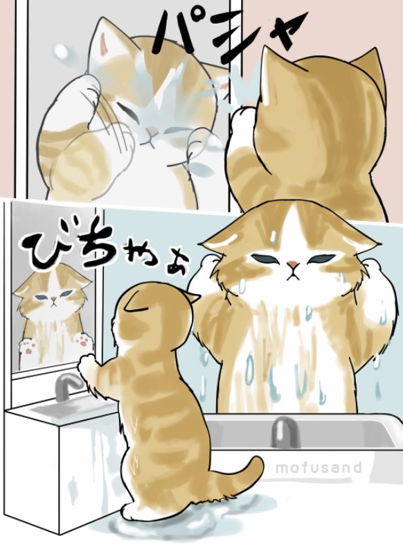 にゃん🐱（旧”S'zのLIVE-GYMにようこそ”） (@sz_bz_arigato) / Posts / X