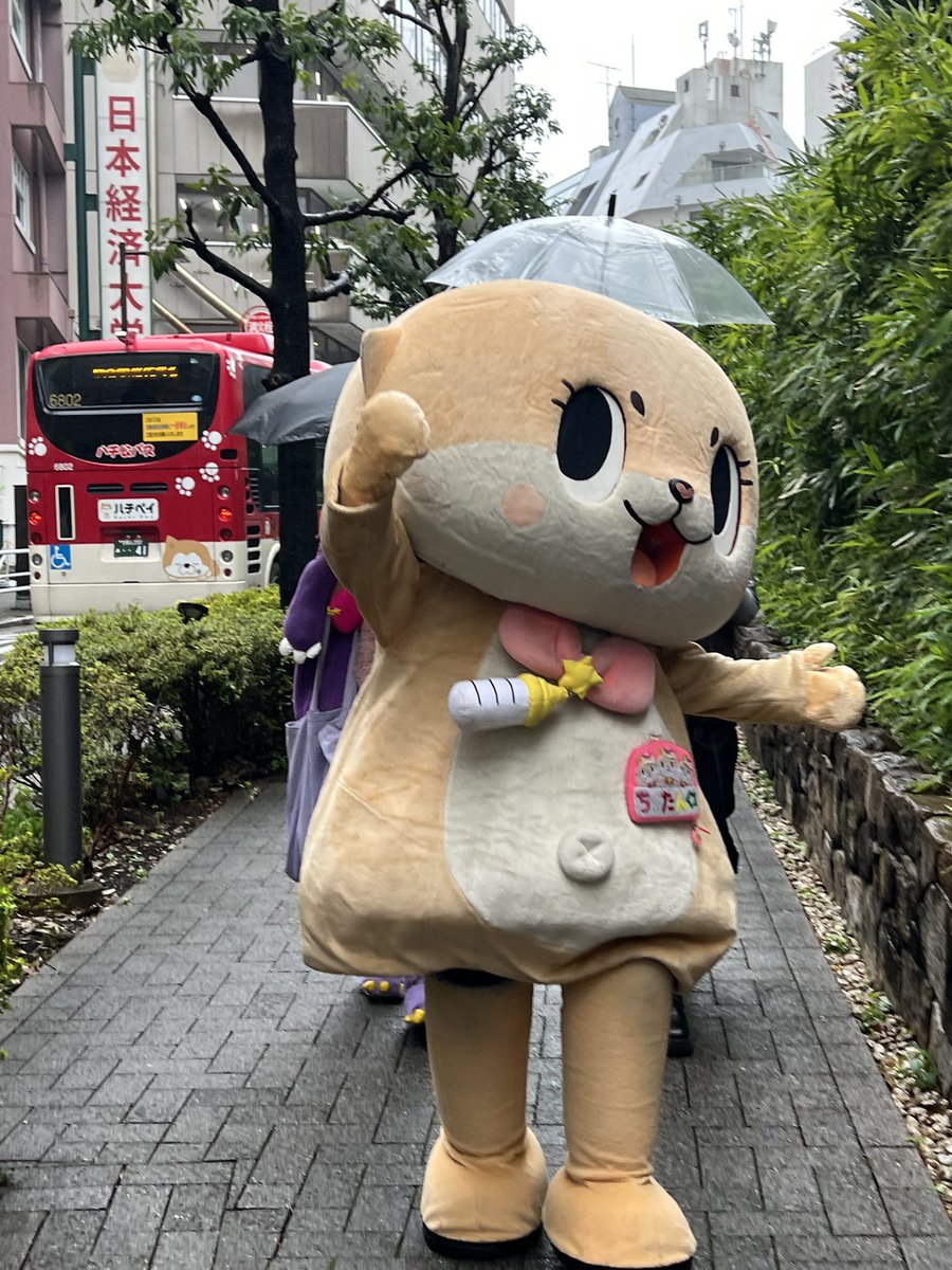 ☆ちーたん☆ ちいたん☆ (@mickeyentry) / Posts / X