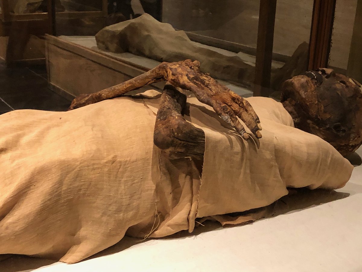 Anotop I, faraón del Alto y Bajo Egipto e hijo de Anotop At