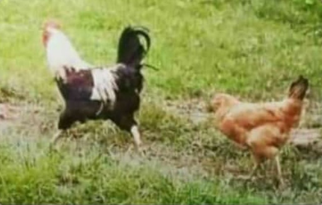 When the guy with a car grabs his keys to leave the bar.

Women on his table: