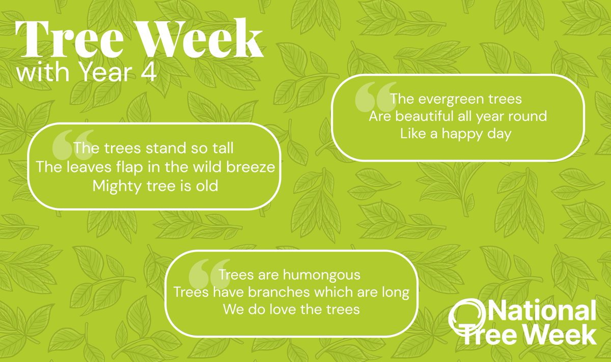 Brentwood_Prep's tweet image. To celebrate National Tree Week, Year 4 spent their PYP Outdoor Inquiry lesson immersed in nature🌳

They explored the different trees in our environment &amp;amp; wrote imaginative &amp;amp; calming Haiku poems🍃💚

#NationalTreeWeek #PYP #OutdoorInquiry #Year4 #KS2 #WhatMakesUsBrentwood