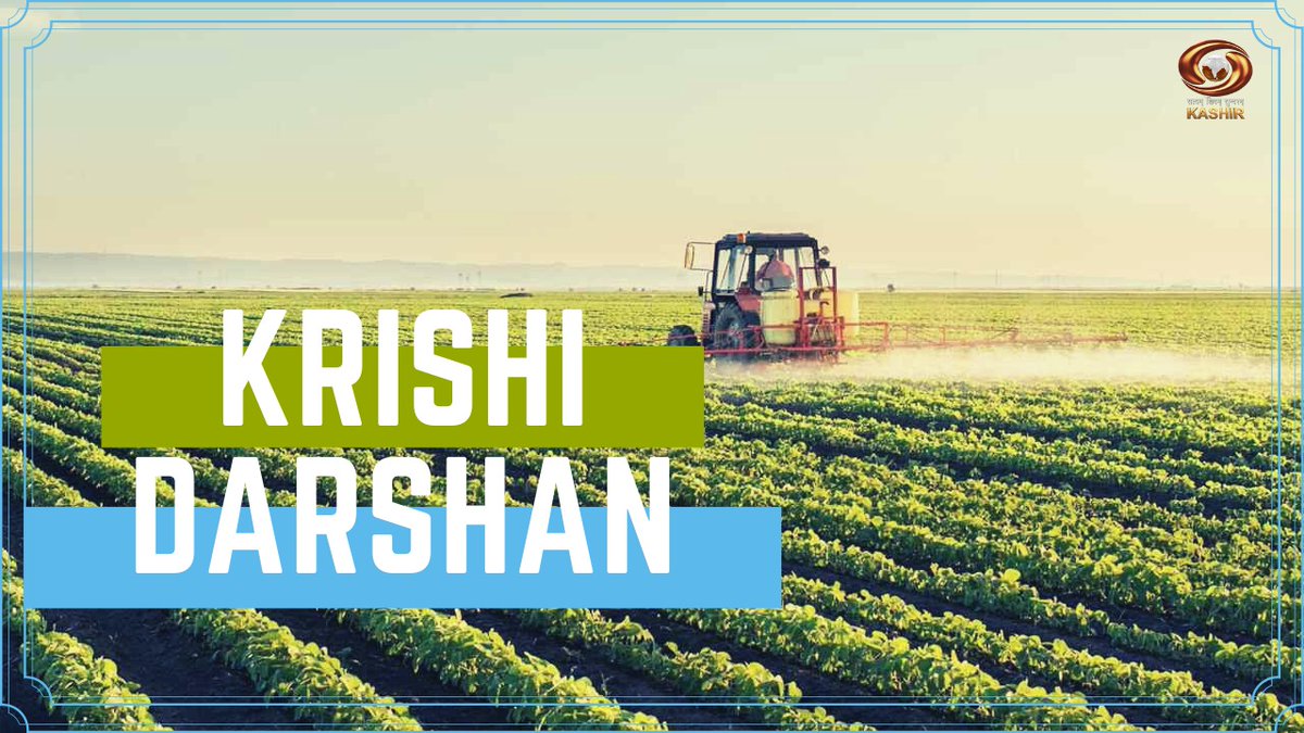 DDKashirChannel's tweet image. Krishi Darshan : DD’s program on advanced technology in Agriculture sector | 26/11/2025

Youtube Link: youtu.be/jjKZJtGHXh0