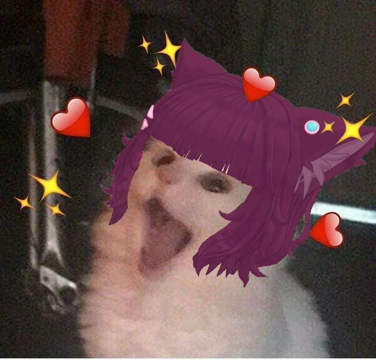 Poffle🍓😺Vtuber tweet media