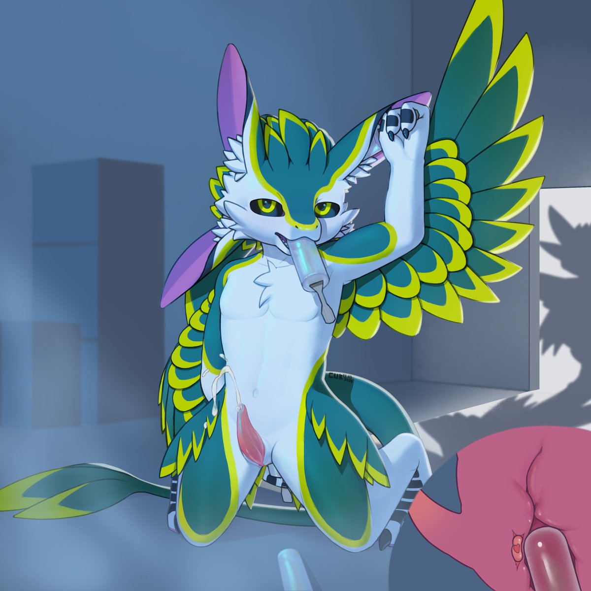 曲奇UWU tweet media