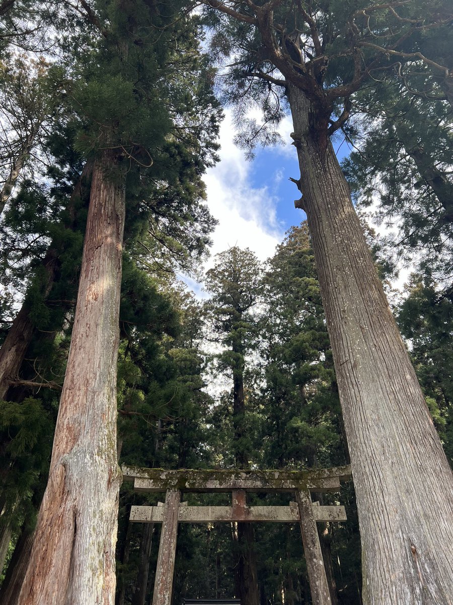 okiramy's tweet image. 「喉が痛い」「鼻が詰まる」「目がかゆい」「鼻をすする」「首が回らない」「腰が痛い」「身体が硬い」「膝が痛い」「頭が痛い」・・・あらゆる身体の不調はあなたが本来の在り方へと向かうための大切なサインです。「大したことない」と軽く扱わず、その真意と向き合うと大きな後押しを受け取れます。