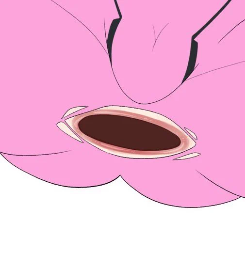 >お尻の穴めっちゃ拡がってませんか? オサシミちゃんの卵産んでこうなりました 体調が良くなったらコスモフローラちゃんの 肉体から産まれたオサシミちゃんも描きます