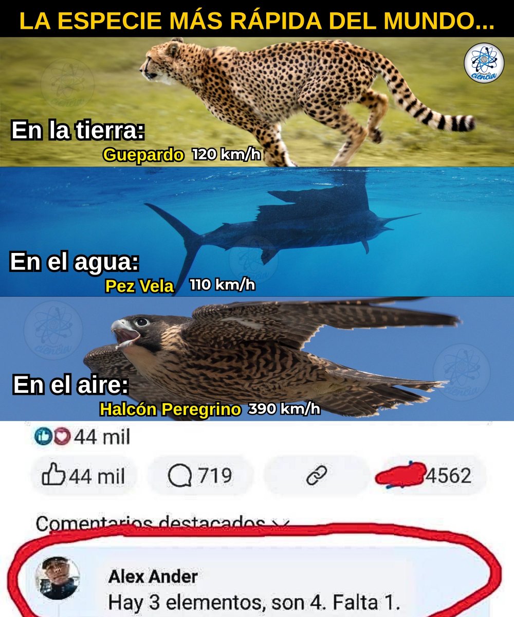 Enséñame de Ciencia tweet media