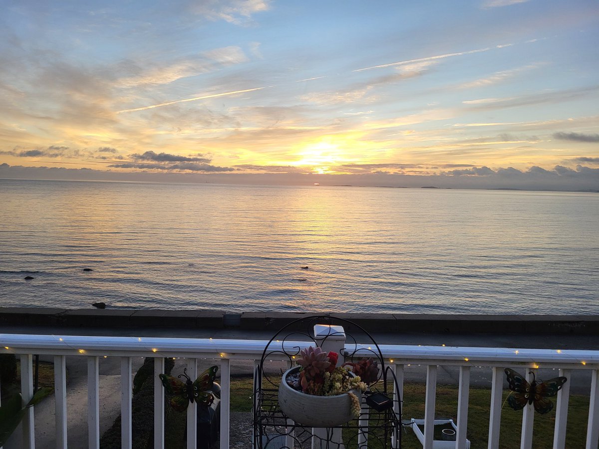 Nipplez (Gear Head Mike) tweet media