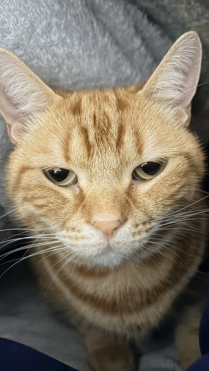 目のデカさ覚醒マイムくん