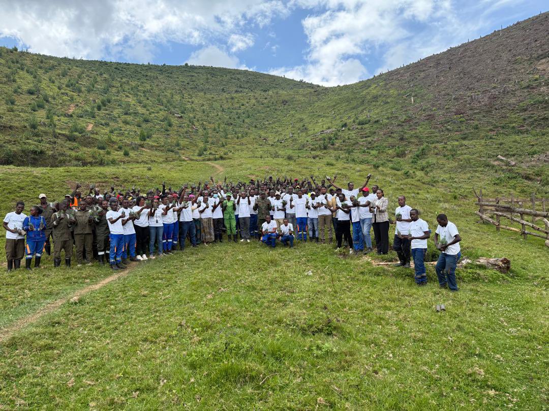 Ultimate Forests Company Ltd tweet media