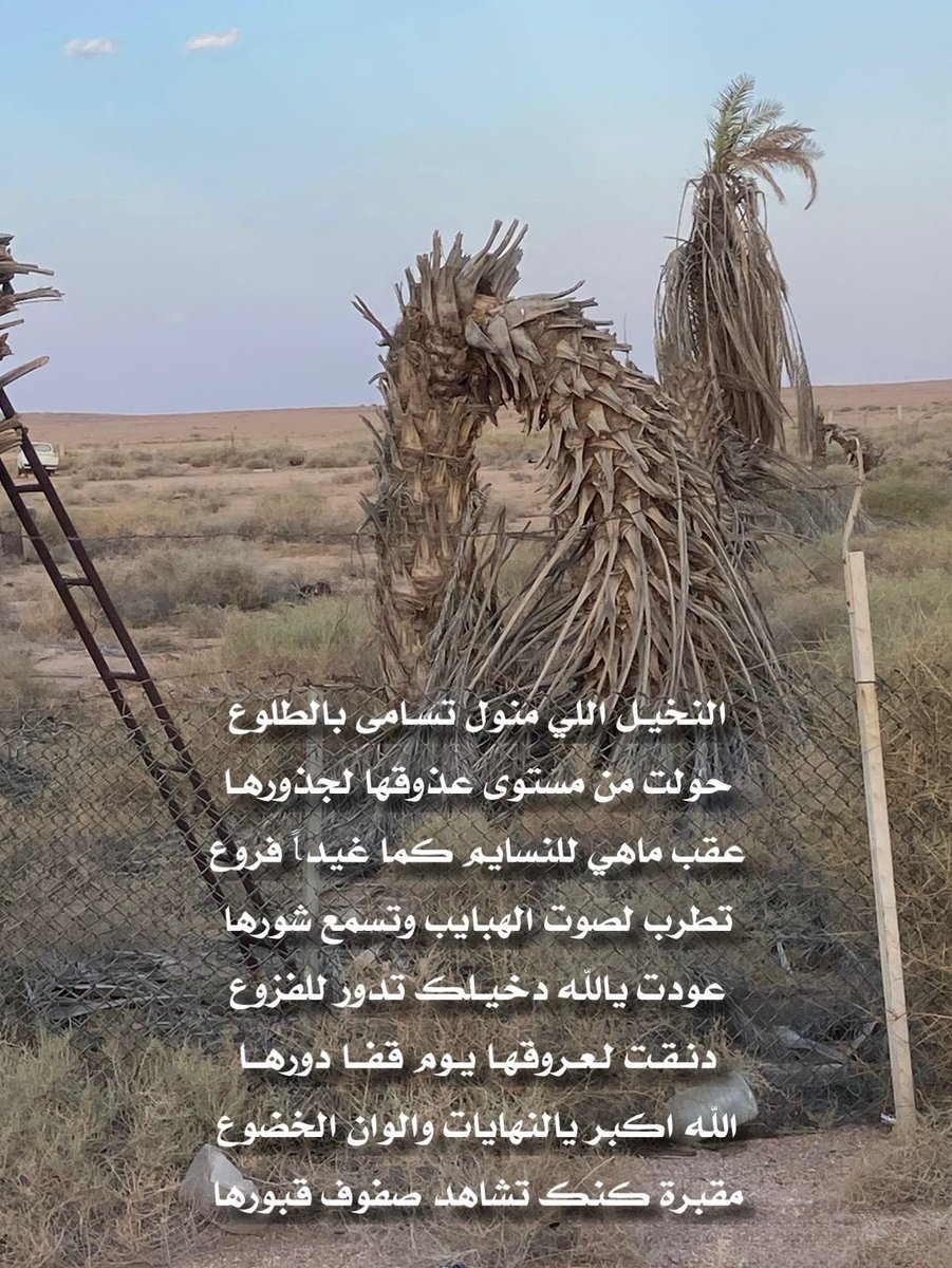 نشمي محمد الحربي (مستشار أمني). حساب شخصي. (@nashmina5555md) on Twitter photo 