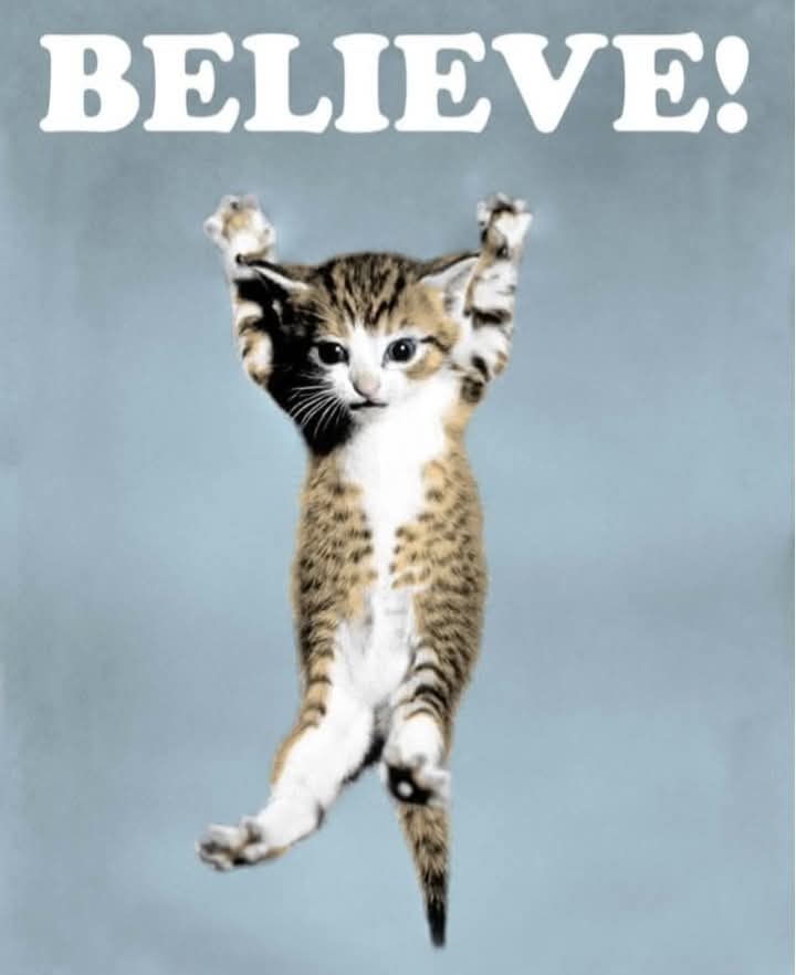 Candle3Xdddd's tweet image. Good Morning