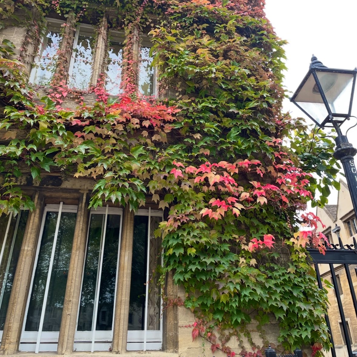 notesofsage's tweet image. 7km around oxford!