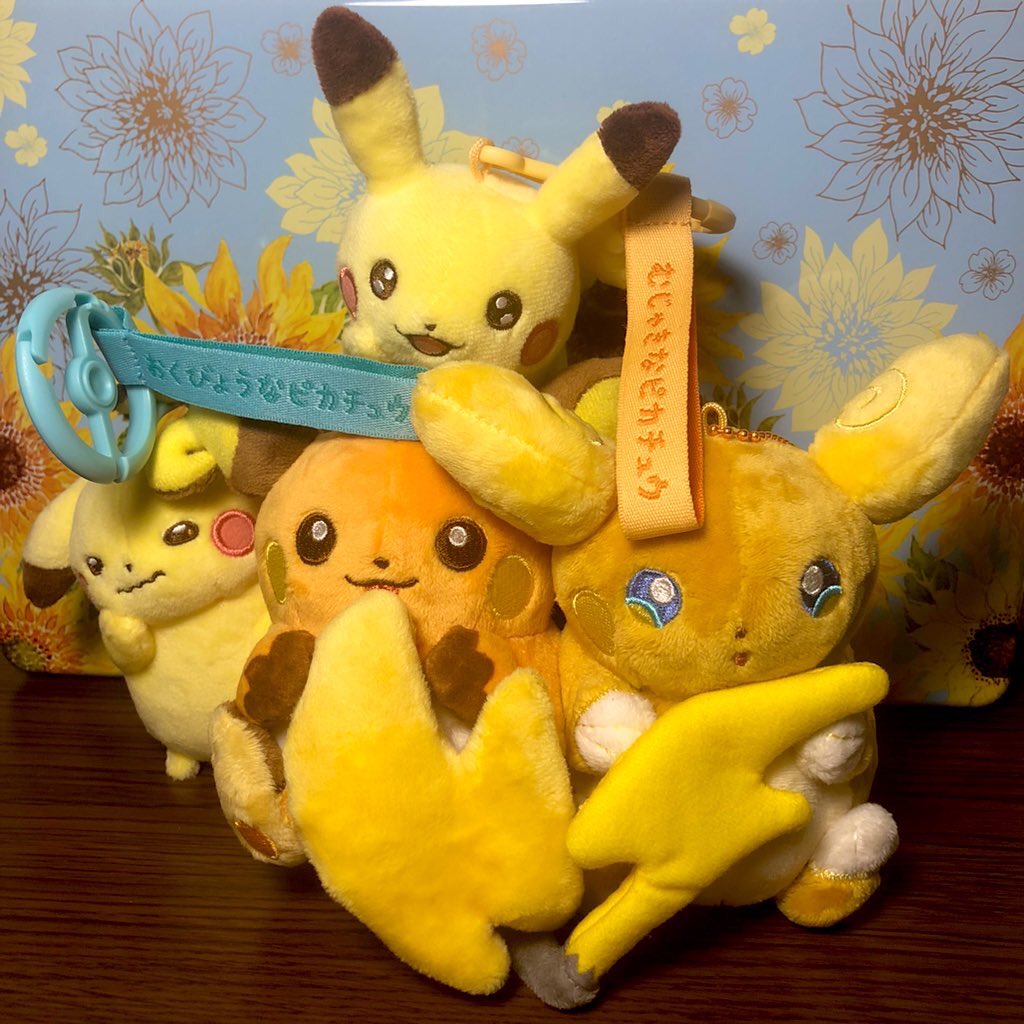 tachibana960501's tweet image. 11/26はいいライチュウの日ですって
せっかく教えて頂いたので、ライちゃんズの写真☺️⚡️

 #いいライチュウの日　#ライチュウ