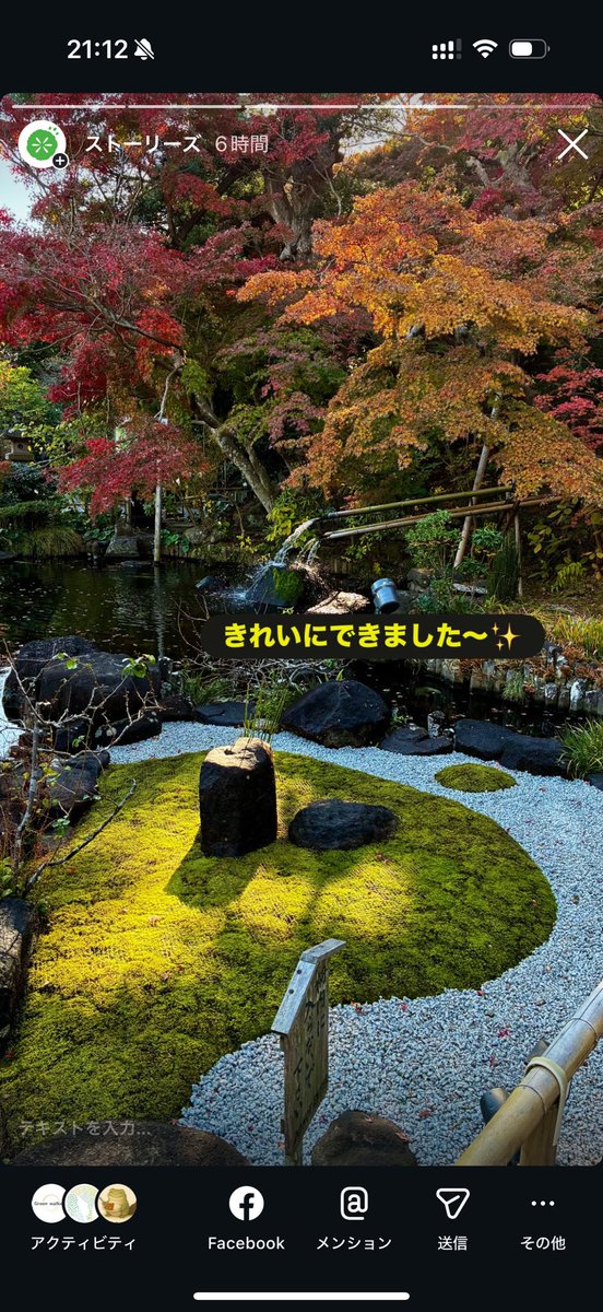 苔むすびの苔師 園田純寛@鎌倉 tweet media