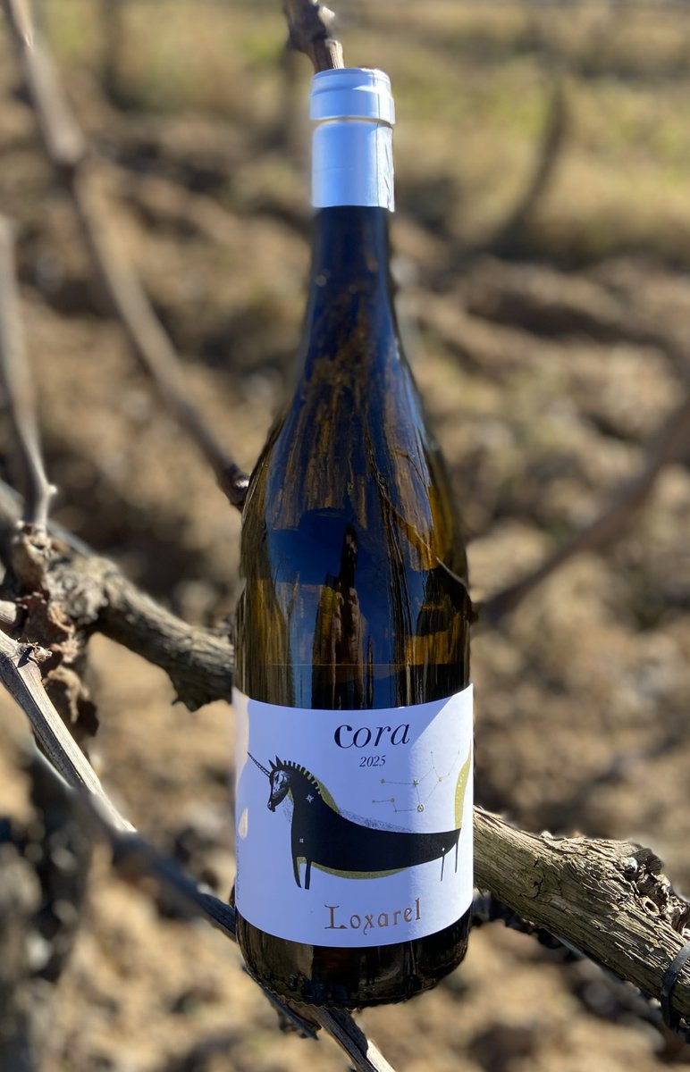 🟠 El Cora 2025 ja és aquí! Fruit d’una anyada excepcional, aquest blanc <a href="/dopenedes/">DO Penedès</a> (la primera 100% ecològica del món), icònic per nosaltres, torna amb més llum i frescor, un reflex del caràcter únic de la terra. Ja podeu fer les vostres conmandes! #Cora #Loxarel #dopenedes