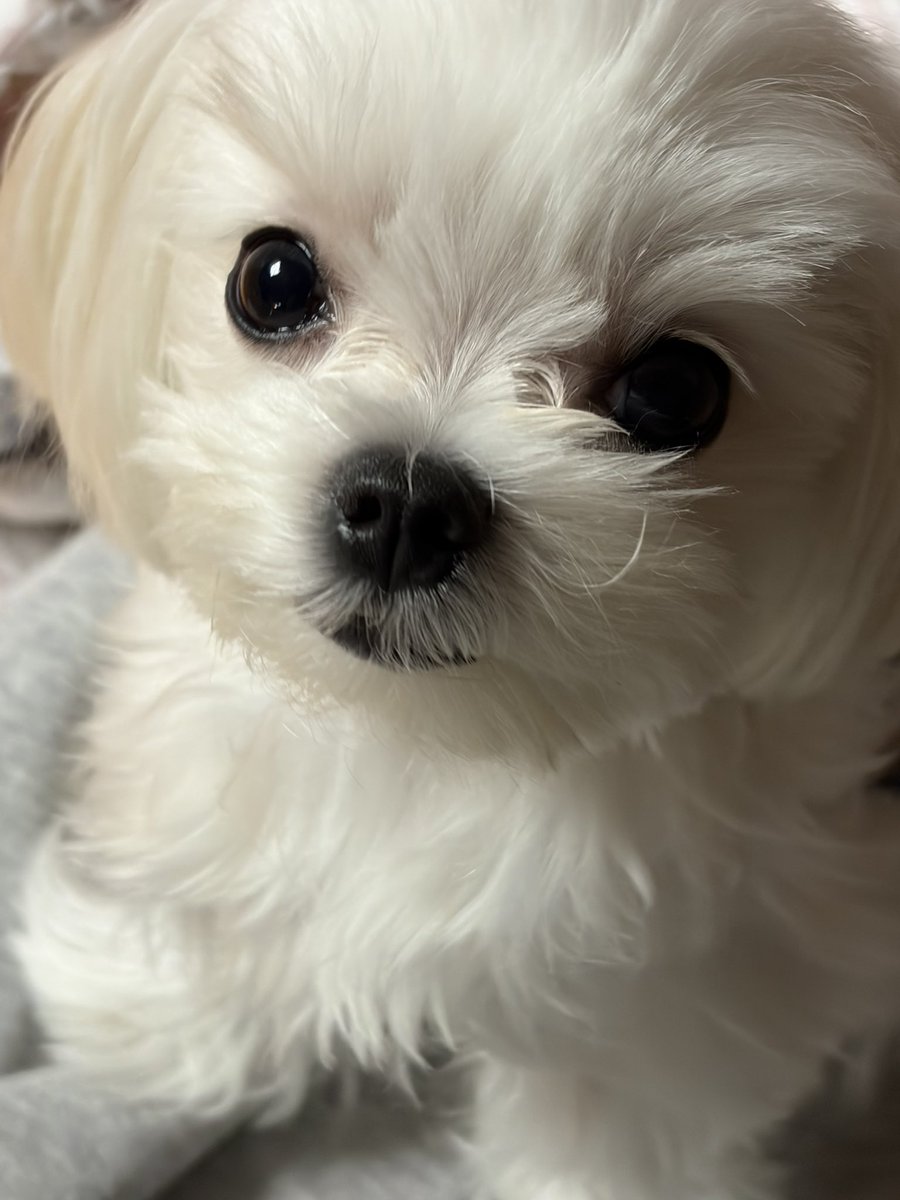 riceloverscluv's tweet image. 언니이이이