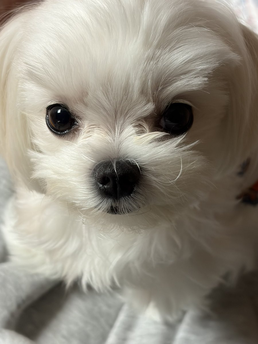 riceloverscluv's tweet image. 언니이이이