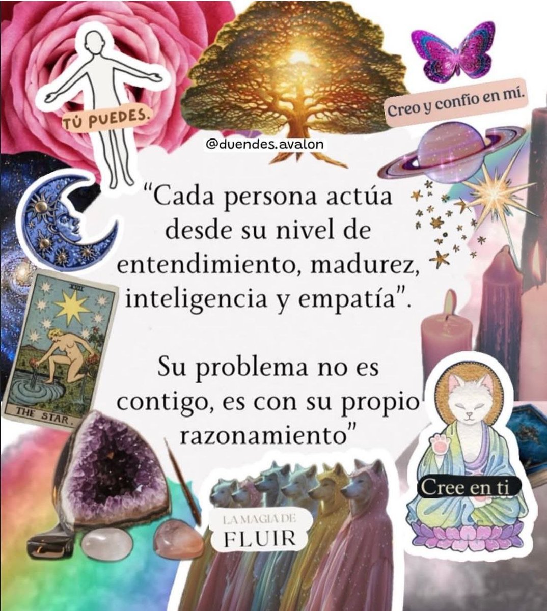 DanPon (@dani_pon86) on Twitter photo 